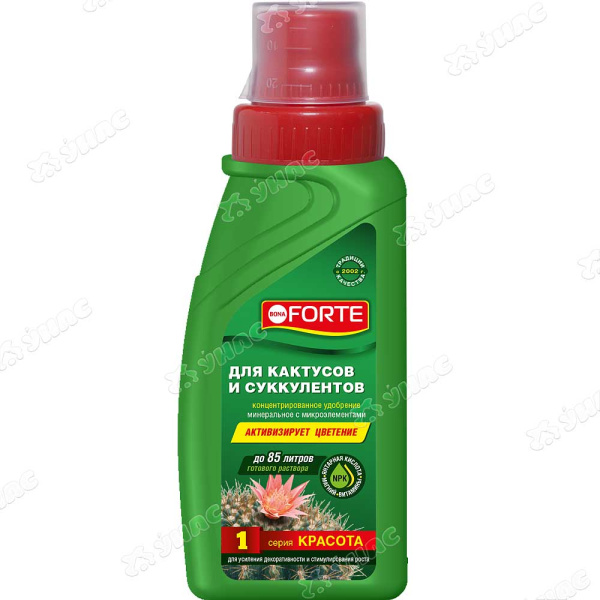 Бона Форте 285мл КРАСОТА Для кактусов х20 