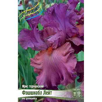 Ирис Германский Фэшшнабл Лейт I 25 шт Биг-пак 12103