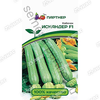 Кабачок Искандер Партнер Ц