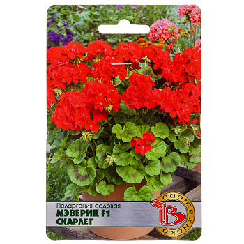 КОМ Пеларгония Мэверик Скарлет Биотехника Ц 
