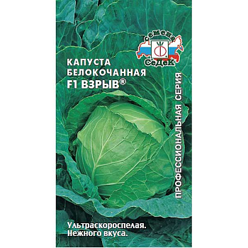 Капуста Взрыв Седек Ц