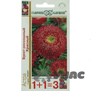 Астра Букет Роскошный красный 1+1 Гавриш Ц 