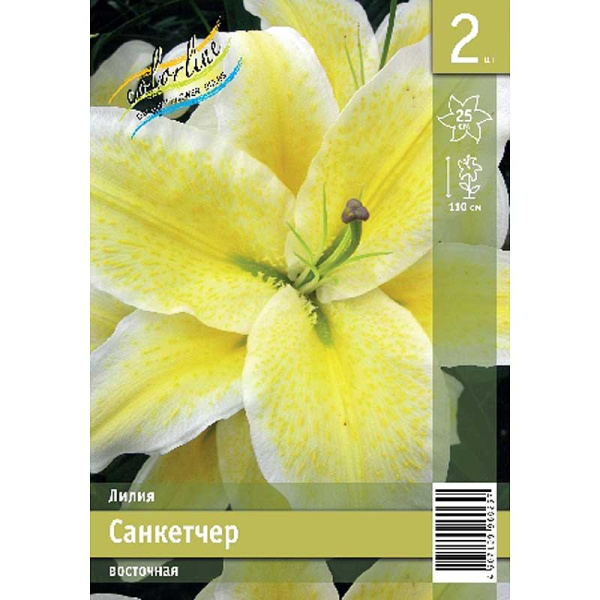 Лилия Санкетчер 12/14 2 Эконом шт 