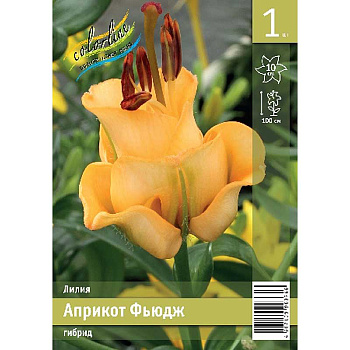 Лилия Априкот Фьюдж 12/14 1 Эконом шт