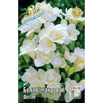 Фрезия Белая, Махровая 5/6 200 шт Шоу-бокс 9229