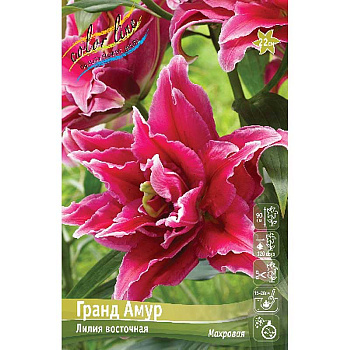 Лилия Гранд Амур 16/18 25 шт Биг-Пак 16538
