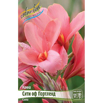 Канна (Зелен) Сити Оф Портленд I 15 шт Шоу-бокс 4547