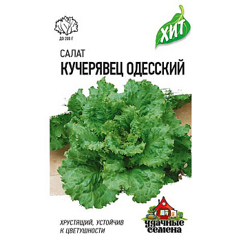 Салат Одесский кучерявец (Металл) Гавриш Ц