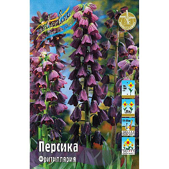 Шоу-бокс Фритиллярия Персика 18/20 15 шт 