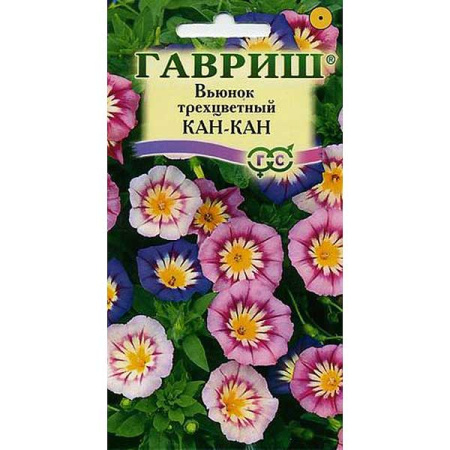Вьюнок Трехцветный Канкан смесь Гавриш Ц 