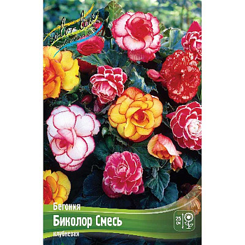 Бегония Биколор Смесь 5/6 50 шт Шоу-бокс 8813