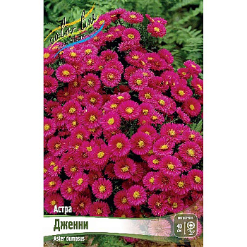 8299 Биг-Пак Астра Дженни I 25 шт