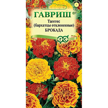 Бархатцы Брокада смесь  Гавриш Ц х10 