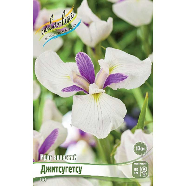 Ирис Мечевидный Джитсугетсу I 25 шт Биг-Пак 12821 