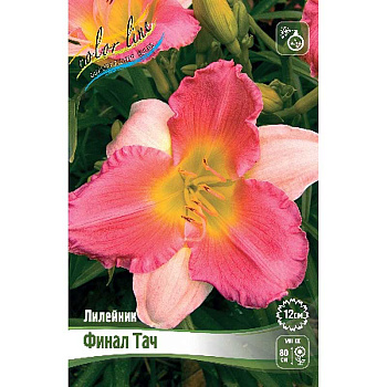 Лилейник Финал Тач I 1 шт 