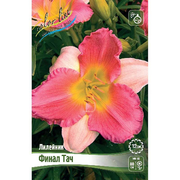 Лилейник Финал Тач I 1 шт 