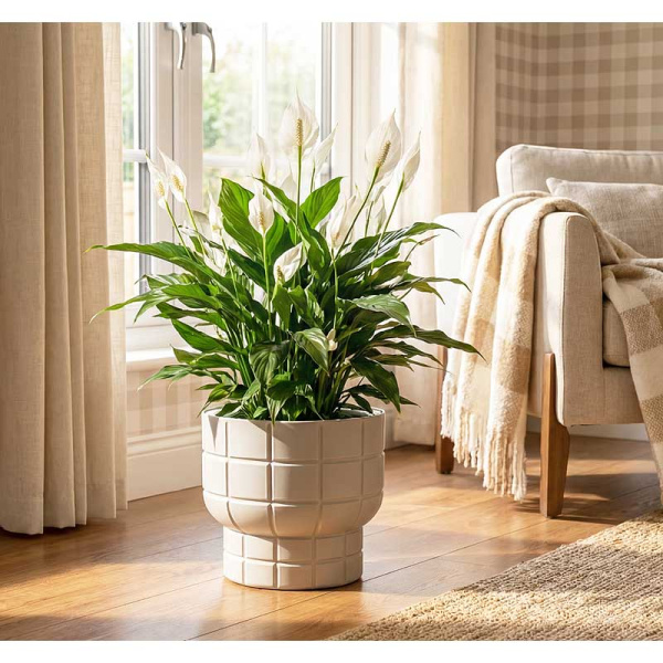 Кашпо КАРЕ D280мм 7,8л со вставкой кремовый М3259 х1 