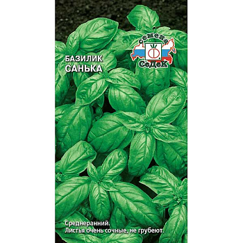 Базилик Санька Седек Ц