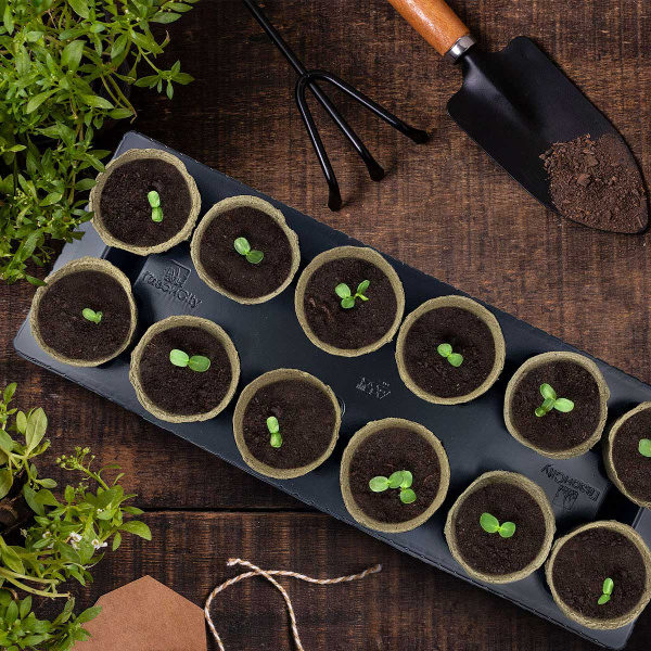 Набор "11огурцов+1помидор" 80*80 12шт в подставке ГС 