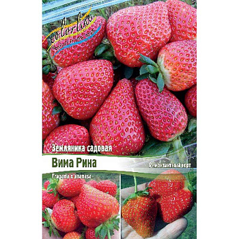 Земляника Садовая Вима Рина A 5 шт 