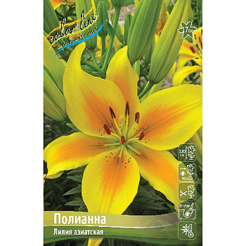 Лилия Полианна 12/14 7 шт