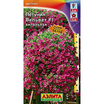 Петуния Вельвет F1 ампельная Аэлита Ц 