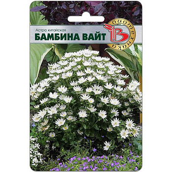 Астра Бамбина Вайт Биотехника Ц 