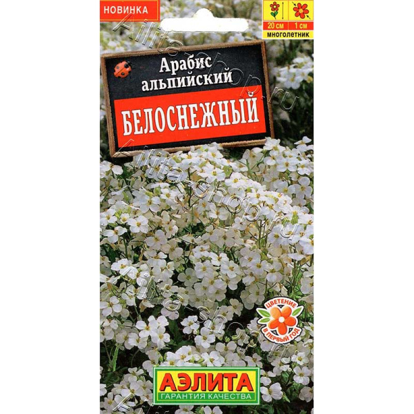 Арабис альпийский Белоснежный Аэлита Цх10 