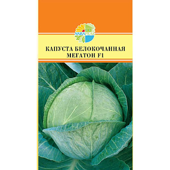 Капуста Мегатон Маринда/Акварель Ц