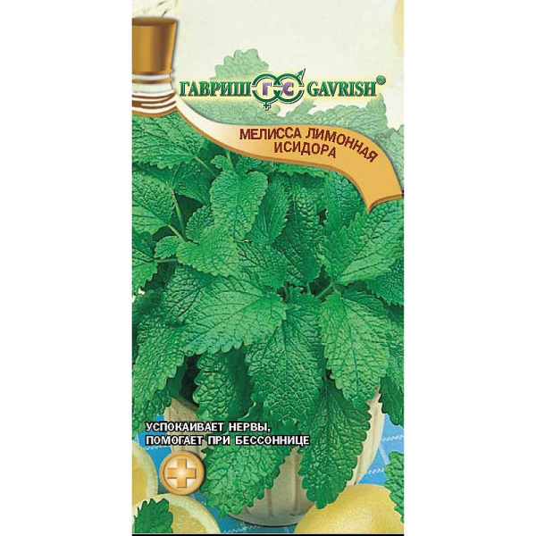 Мелисса Исидора лекарственная Гавриш Ц