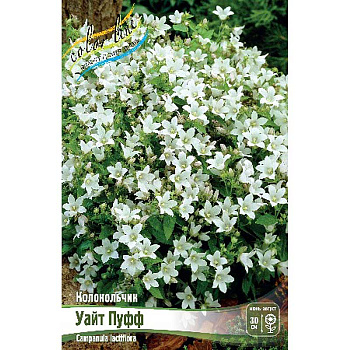 Колокольчик Уайт Пуфф I 1 шт