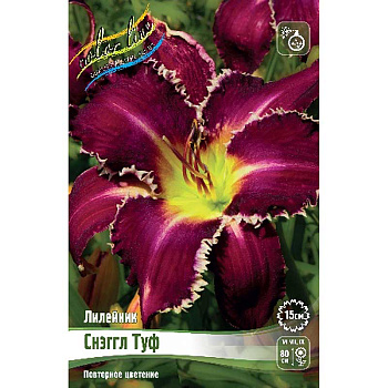 Лилейник Снэггл Туф I 25 шт Биг-пак 7891