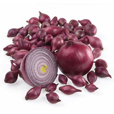 Лук-севок КАРМЕН 21-24 20кг+/-5%(цена за мешок)РОС 