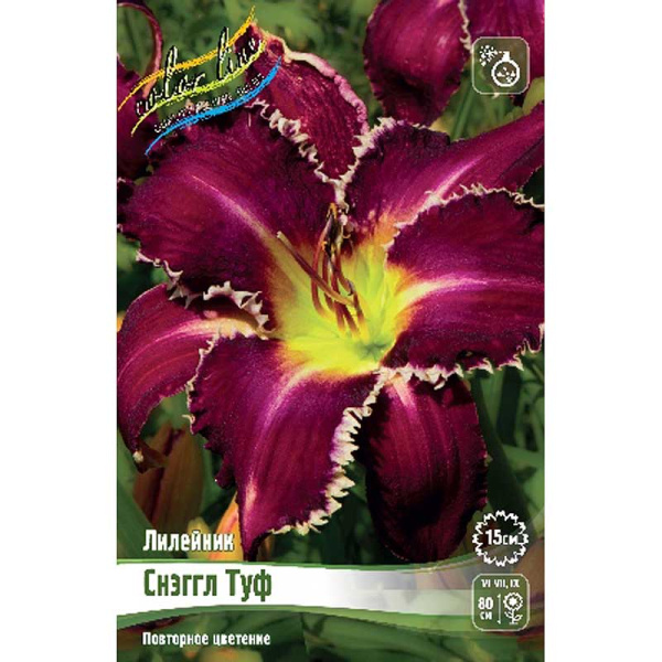 Лилейник Снэггл Туф I 25 шт Биг-пак 7891