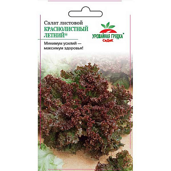 Салат Краснолистный летний (лист.) Седек Ц