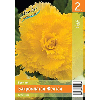 Бегония Бахромчатая Желтая 4/5 2 Эконом шт