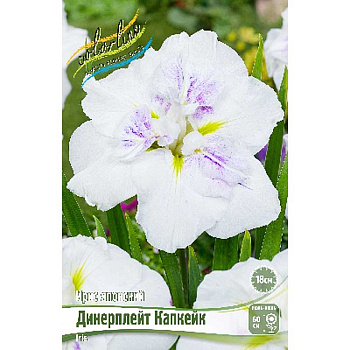 Ирис Мечевидный Диннерплейт Капкейк I 25 шт Биг-пак 13391