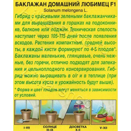 Семена Баклажан Домашний любимец Аэлита Ц x10