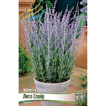 9896 Биг-Пак Перовскиа Литл Спайр I 25 шт 