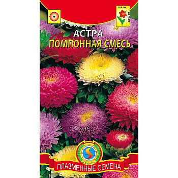 Астра Помпонная смесь Плазма Ц 