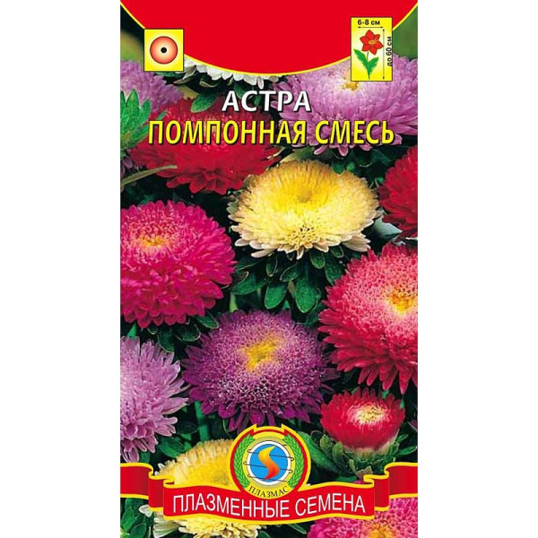 Астра Помпонная смесь Плазма Ц 