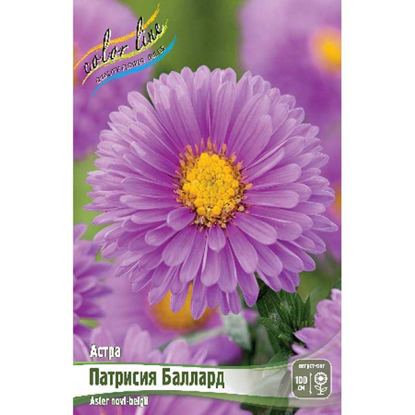 8304 Биг-Пак Астра Патрисия Баллард I 25 шт