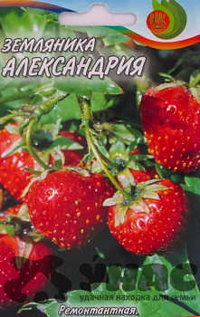 Земляника Александрина НК Ц /0,05 г Земляника Александрина НК Ц /0,05 г