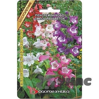 Пенстемон Свадебные колокольчики Биотехника Ц 