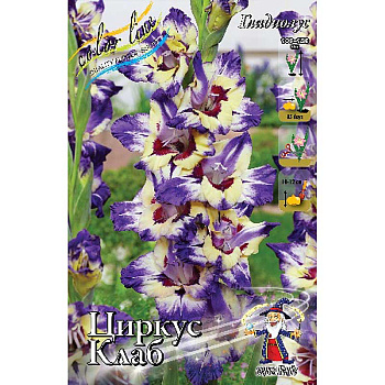 Гладиолус Циркус Клаб 12/14 100 шт Шоу-Бокс 2775 