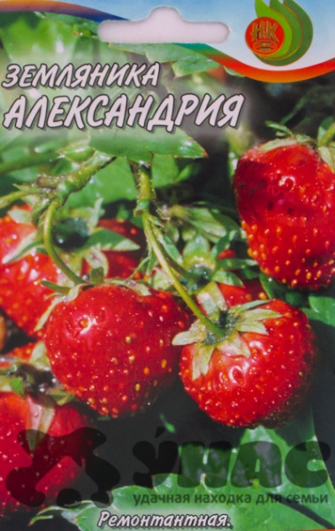 Земляника Александрина НК Ц /0,05 г