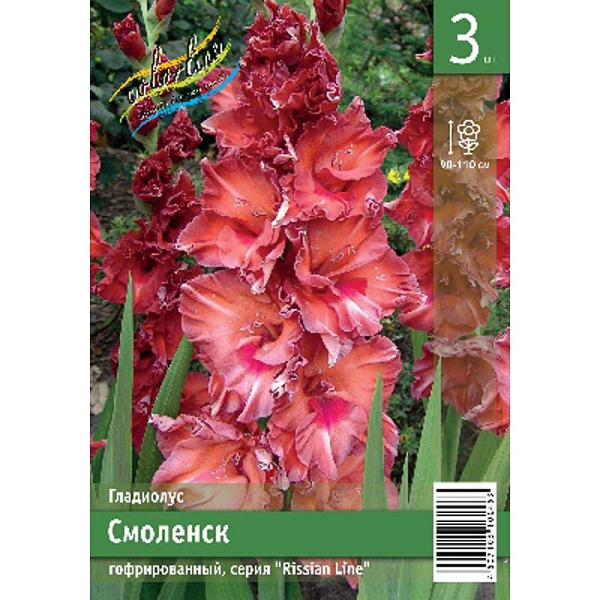 Гладиолус Смоленск 10/12 3 Эконом шт 