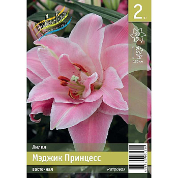 Лилия Мэджик Принцесс 12/14 2 Эконом шт 