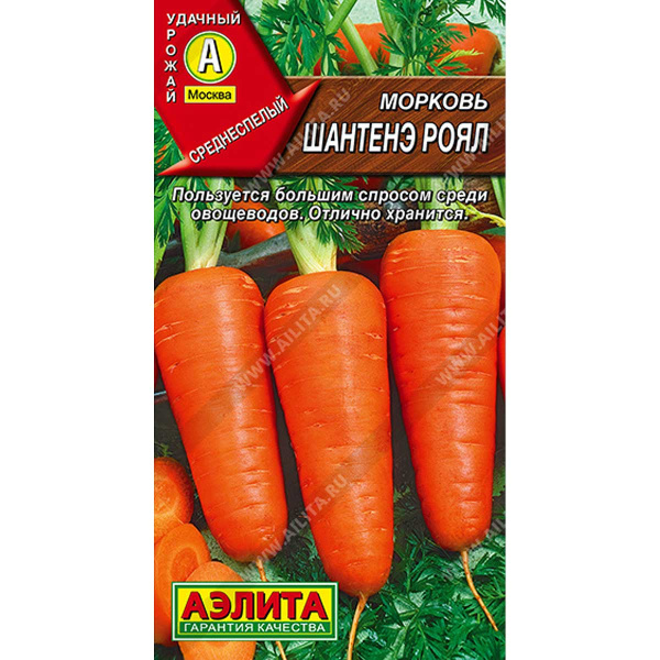 Морковь Шантенэ Роял Аэлита Цх10