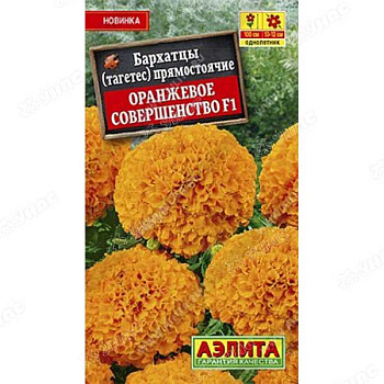 Бархатцы Оранжевое совершенство Аэлита Ц 